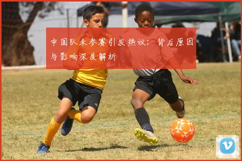 中国队未参赛引发热议:背后原因与影响深度解析