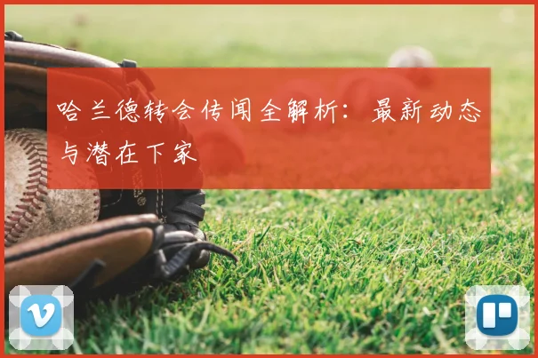 哈兰德转会传闻全解析：最新动态与潜在下家